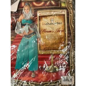 Harem and Genie Costume Halloween Sexy Size Large